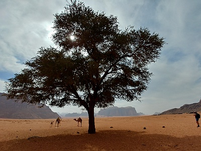 Israel Jordanien -193